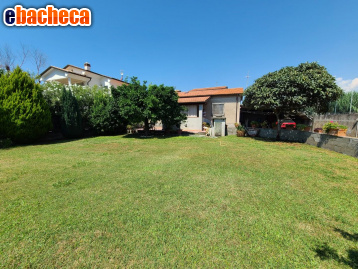 casa indipendente in vendita a Seravezza in zona Querceta