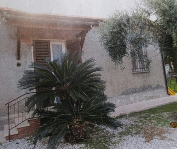 casa indipendente in vendita a Seravezza in zona Querceta