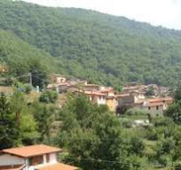terreno agricolo in vendita a Seravezza