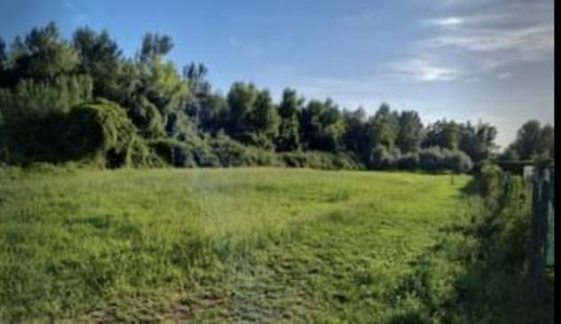 terreno agricolo in vendita a Seravezza