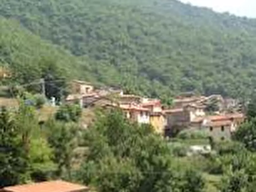 terreno agricolo in vendita a Seravezza