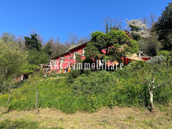 pentavano in vendita a Seravezza in zona Corvaia