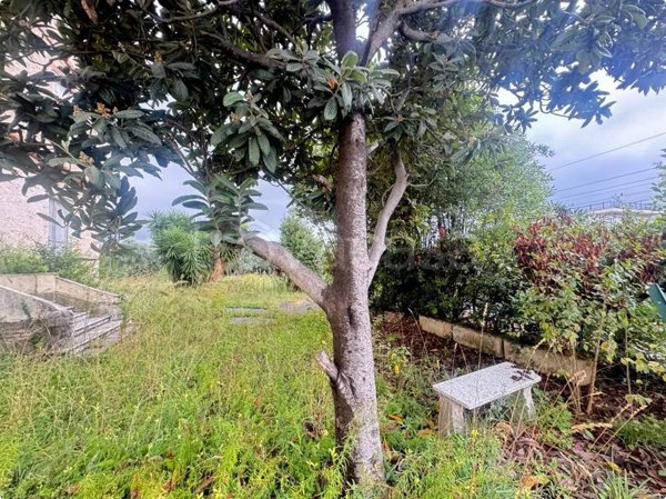 casa indipendente in vendita a Seravezza in zona Querceta