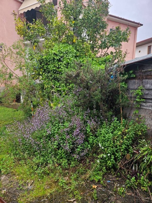 appartamento in vendita a Seravezza