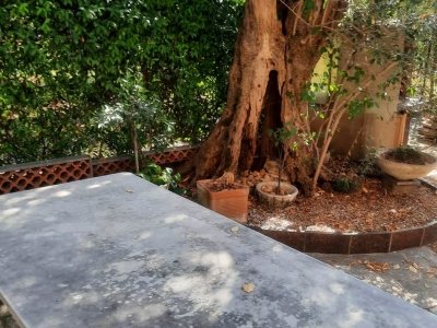 casa indipendente in vendita a Seravezza in zona Corvaia