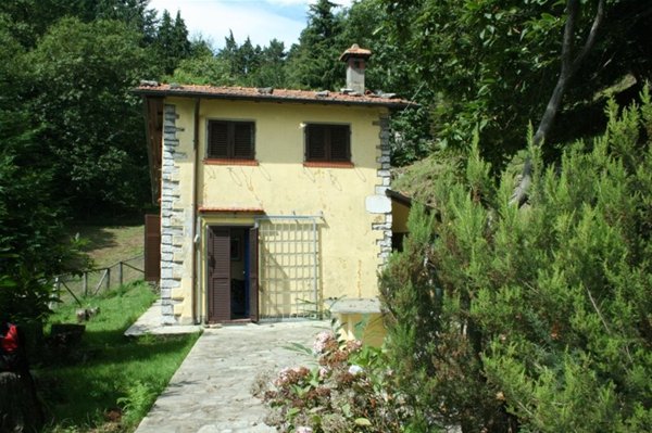 casa indipendente in vendita a Seravezza