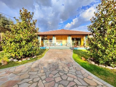 casa indipendente in vendita a Seravezza