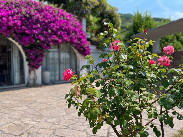 casa indipendente in vendita a Seravezza in zona Ripa