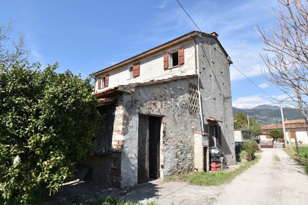 esavano in vendita a Seravezza in zona Querceta