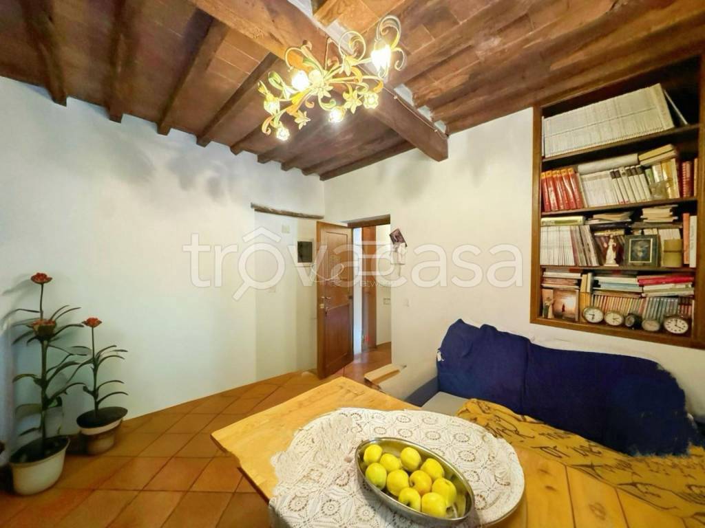 casa indipendente in vendita a Seravezza in zona Pozzi