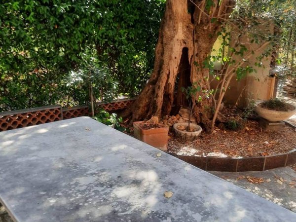 casa indipendente in vendita a Seravezza in zona Querceta