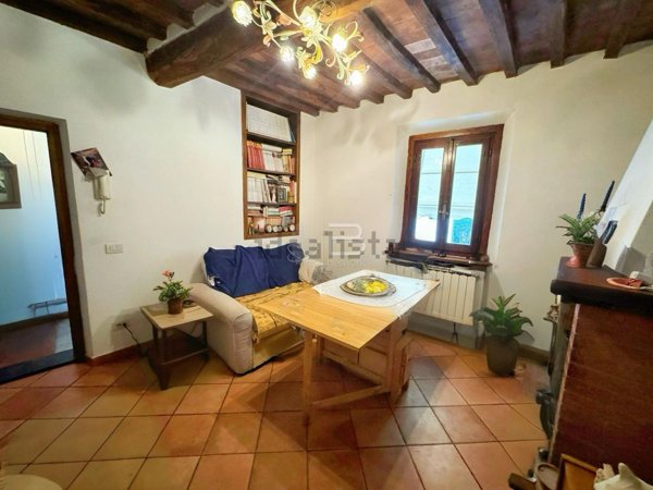 casa indipendente in vendita a Seravezza in zona Pozzi