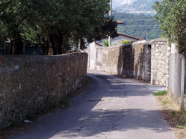 immagine annuncio 0 di 1