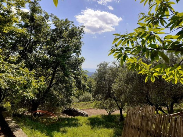 casa indipendente in vendita a Seravezza