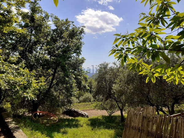 appartamento in vendita a Seravezza