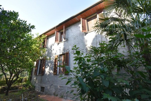 esavano in vendita a Seravezza in zona Pozzi