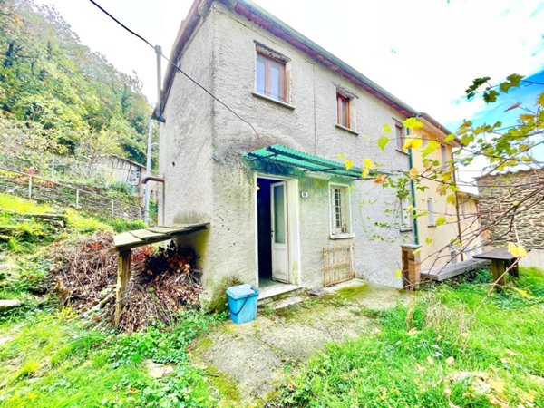 pentavano in vendita a Seravezza in zona Azzano