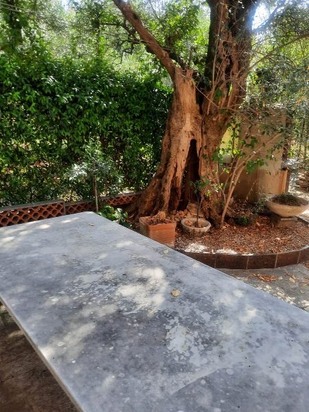 casa indipendente in vendita a Seravezza