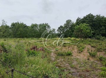 terreno agricolo in vendita a Seravezza
