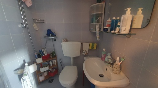 casa indipendente in vendita a Seravezza