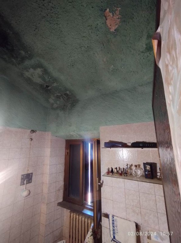 appartamento in vendita a Seravezza in zona Basati