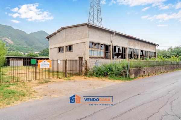 terreno agricolo in vendita a Seravezza