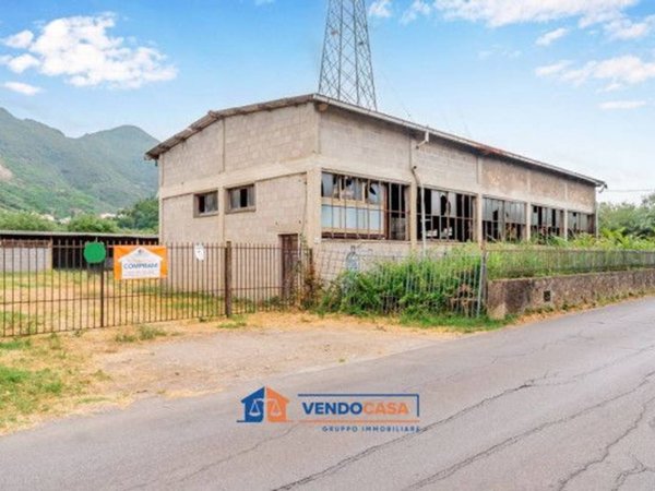 terreno agricolo in vendita a Seravezza