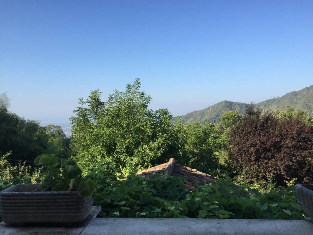 casa indipendente in vendita a Seravezza