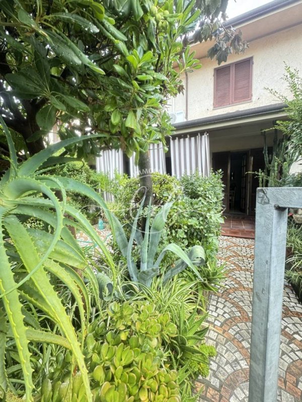 casa indipendente in vendita a Seravezza in zona Querceta