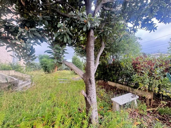 casa indipendente in vendita a Seravezza in zona Querceta