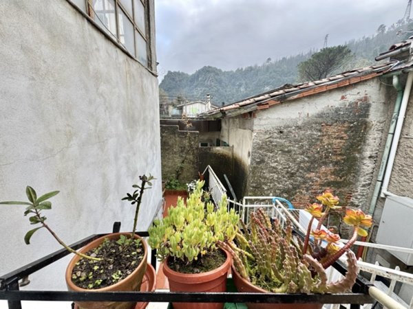 casa indipendente in vendita a Seravezza