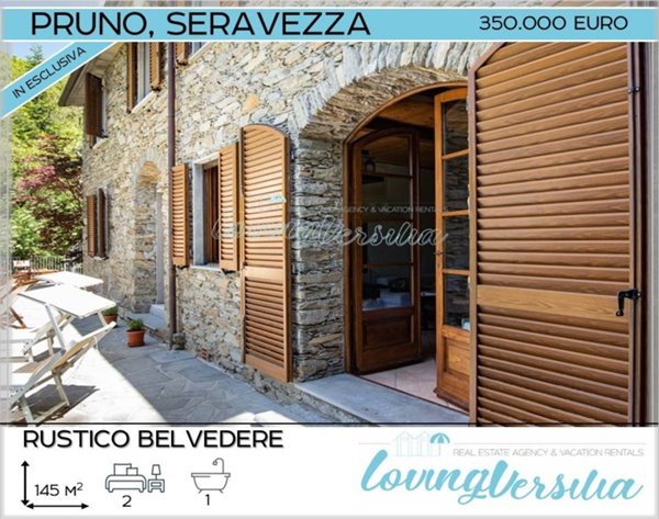 casa indipendente in vendita a Seravezza