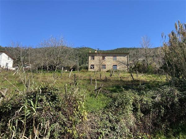 casa indipendente in vendita a Seravezza in zona Ripa