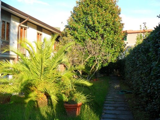 casa indipendente in vendita a Seravezza