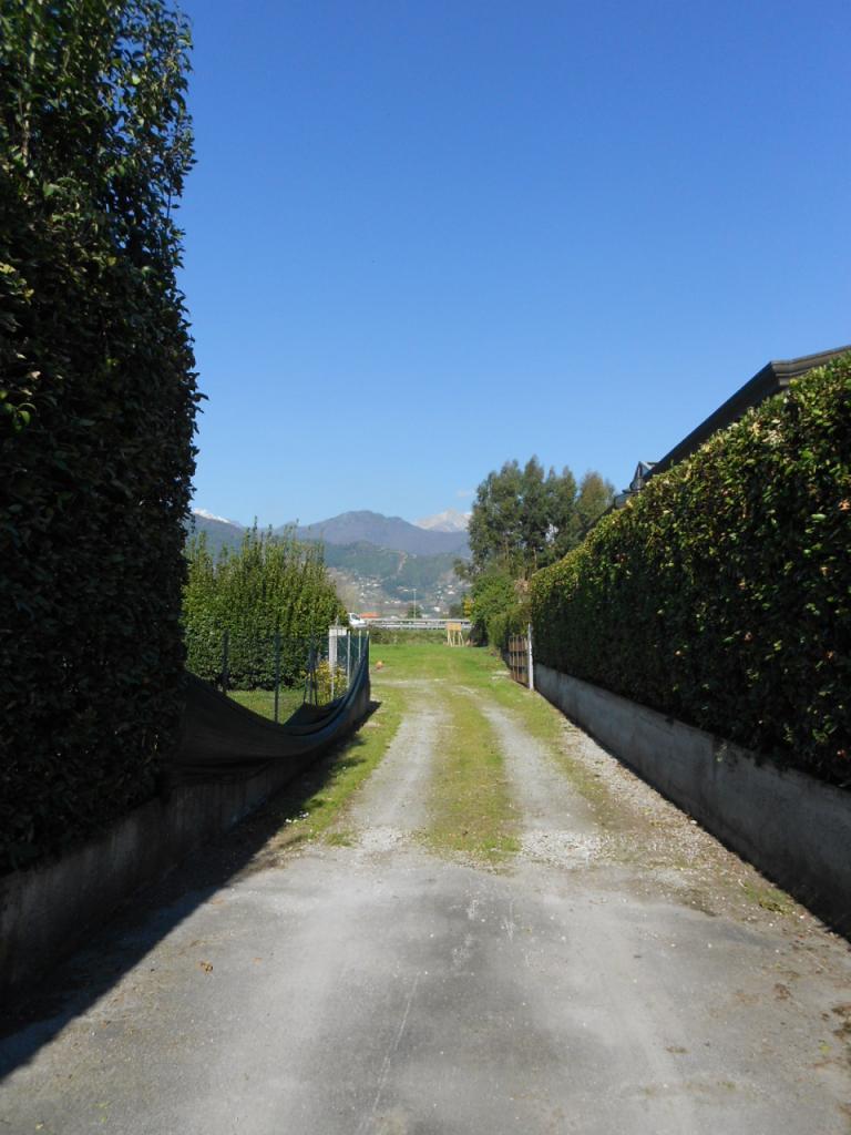 locale commerciale in vendita a Seravezza