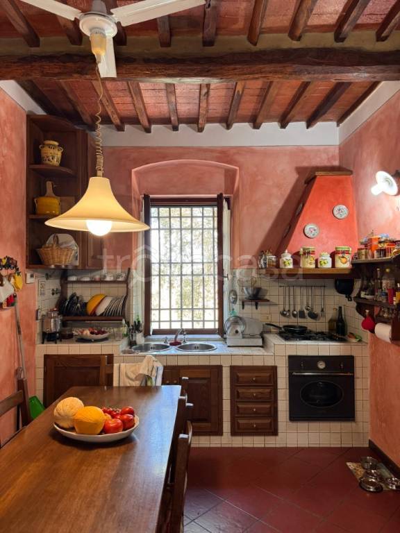 casa indipendente in vendita a Seravezza in zona Querceta