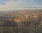 casa indipendente in vendita a Seravezza in zona Ripa