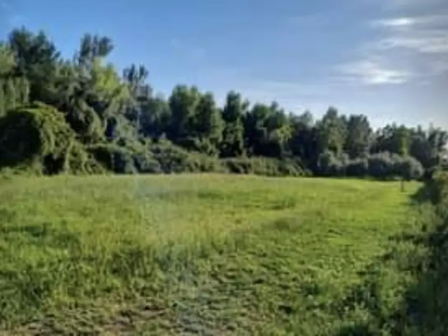 terreno agricolo in vendita a Seravezza