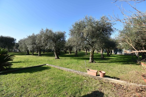 casa indipendente in vendita a Seravezza in zona Pozzi