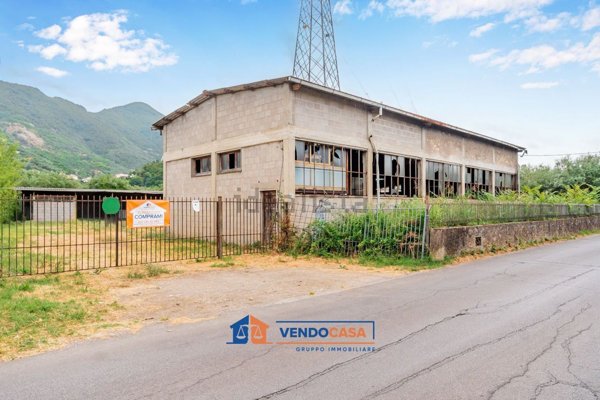 terreno agricolo in vendita a Seravezza