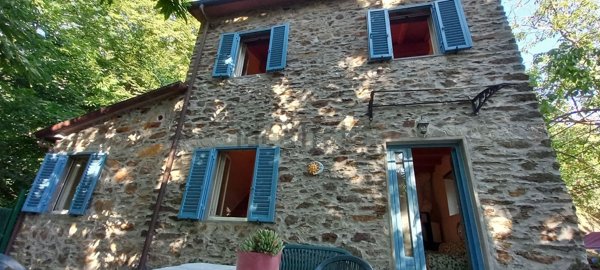 quadrivano in vendita a Seravezza