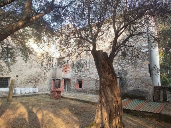 esavano in vendita a Seravezza