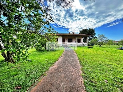 casa indipendente in vendita a Seravezza in zona Querceta