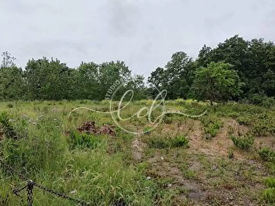 terreno agricolo in vendita a Seravezza