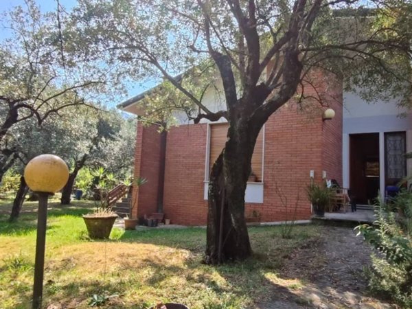 casa indipendente in vendita a Seravezza in zona Pozzi