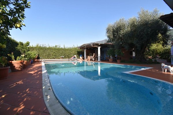 casa indipendente in vendita a Seravezza in zona Ripa