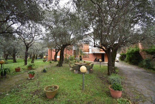 casa indipendente in vendita a Seravezza in zona Pozzi