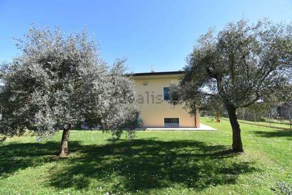 casa indipendente in vendita a Seravezza in zona Querceta