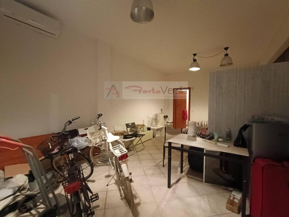loft in vendita a Seravezza