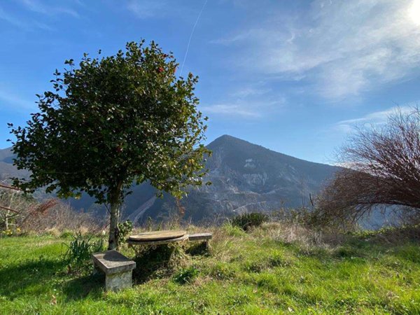 casa indipendente in vendita a Seravezza